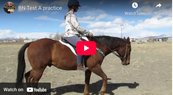 Video # 311 and Question # 329: Kayla is practicing BN test A, and has a few questions.