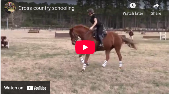 Video # 310: This is Susanne and her lovely horse Corelli, schooling cross country!