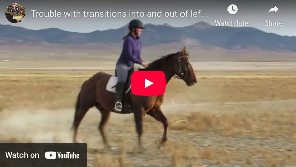 Video # 108 and Question # 323: Kayla has a question (with video) about her horses tendency to fall out through his right shoulder when going to the left.