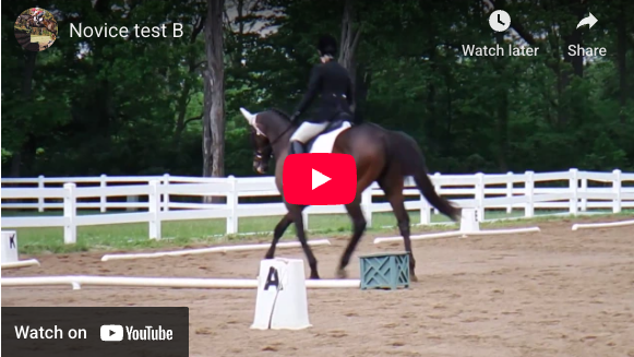 Video # 102: This is Kellyn, riding Novice level test B