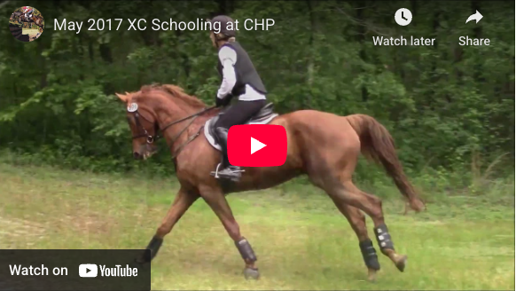 Video # 100: This is Susanne and her lovely horse enjoying some cross country schooling!