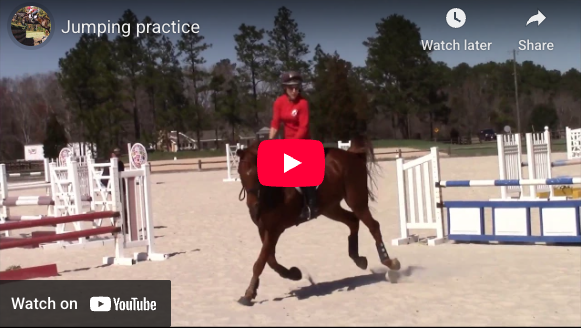 Question # 309, and Video # 97: This is Susanne!