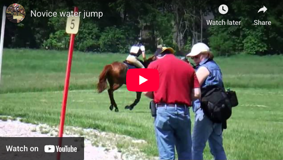 Video # 67 and Question # 213: This is a video of Rowan, my 14 year old OTTB gelding. I took him off the track several years ago and turned him into a show jumper and fox hunter...