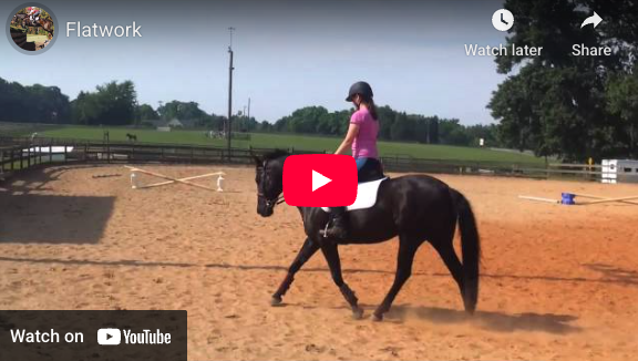 Video # 66 and Question # 208: This is Kymbre!