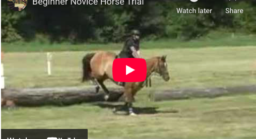 Video # 58: This is Catherine again!