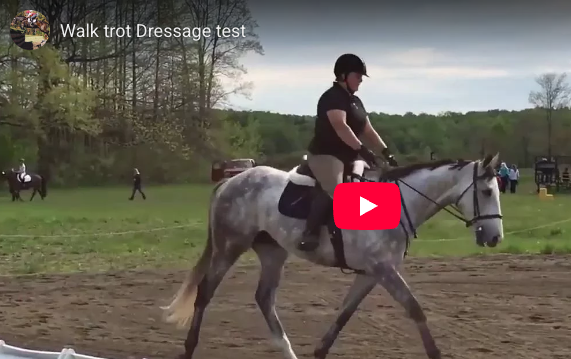 Video # 91: This is Vita!