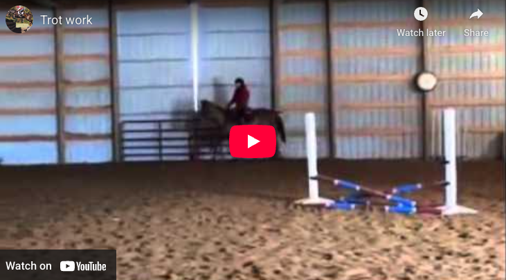 Video # 79: This is Kellyn with her new mare, a 15 year old OTTB