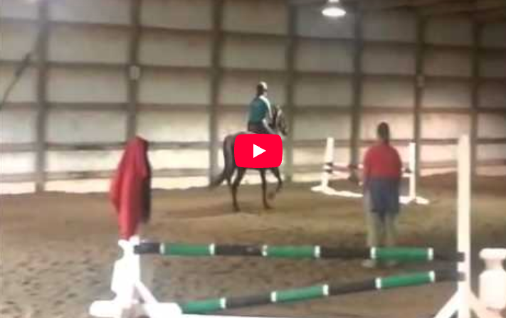 Video # 36: Kayla has a question about how to help her horse get back to the same form she had pre injury.