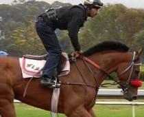 Controlling the Strong Horse at the Gallop
