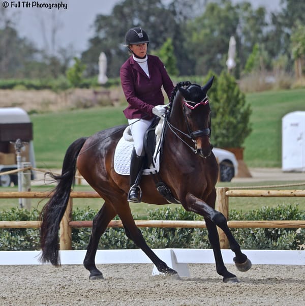 Improve Your Canter to Trot Transitions!