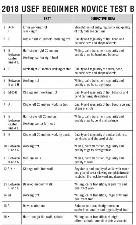 10 Ways to Improve Your Dressage Scores