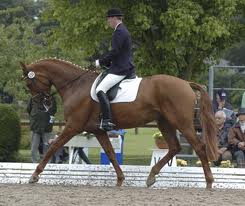 Behind the Bit VS Behind the Vertical