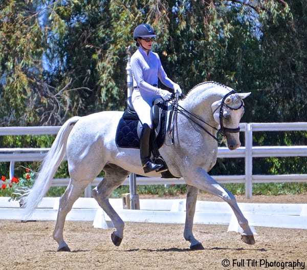A Test of Your Flatwork Training (For All Levels!)