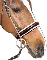 Using a Leverage Bit