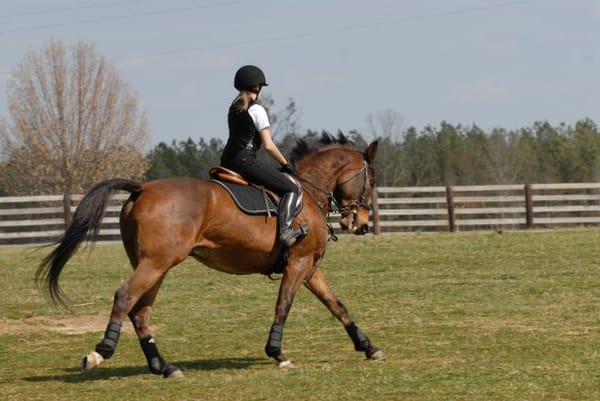 HOW to Use the Turn Into Each Jump to Balance Your Horse
