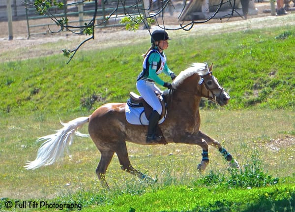 How Many Gears Do You Have in the Canter?