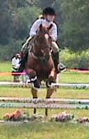 You Go Where You Look