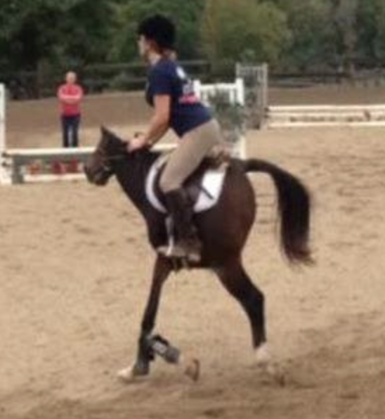 The Short Backed Horse