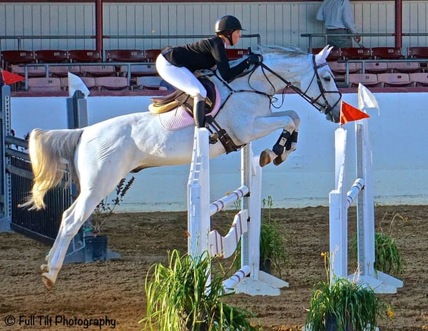 An Exercise to Help You Find an Even Pace Over Fences