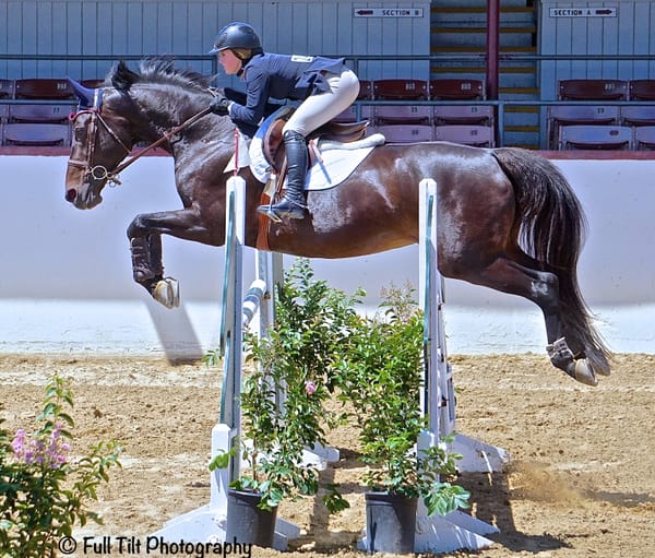 An Exercise to Teach BOTH Horse & Rider to Be More Patient in Front of Jumps