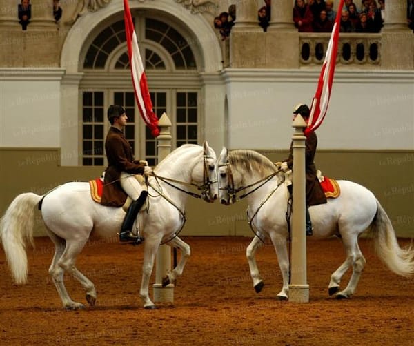A Spanish Riding School Exercise to Increase the Collection in Your Horse's Canter