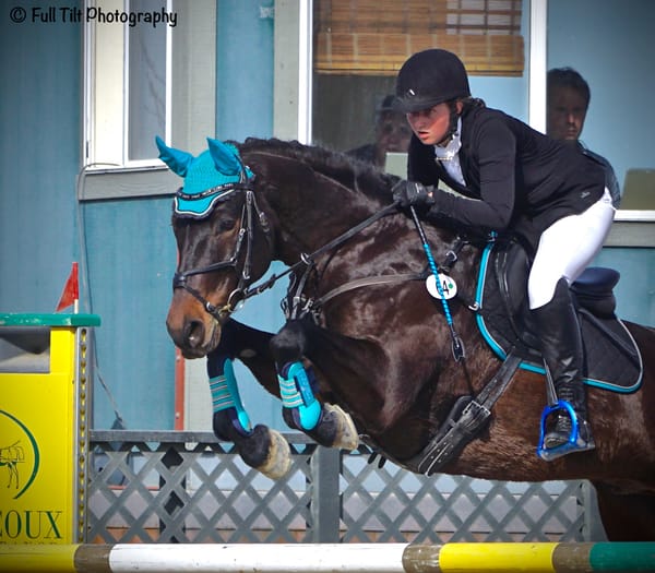 A Tool to Sharpen Your Horse's Jumping Form and Focus (For Horses & Riders of All Levels!)
