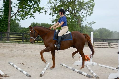 Some Ways to Challenge Your Horse's Ability to Think Quickly (Current freebie!)