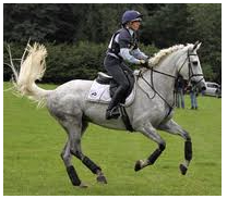 How to Package Your Horse's Stride When Jumping