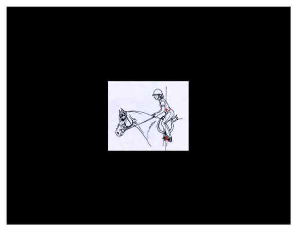 Rider Balance Equals Safety    (Current freebie!)