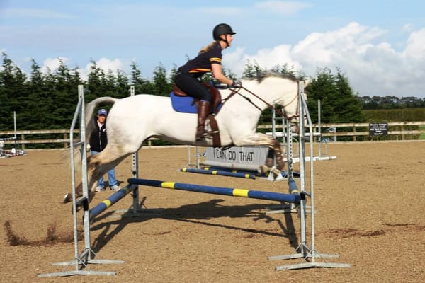 The Low Wide Oxer Exercise