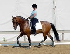 An Exercise to Improve Your Ability to Sit the Trot
