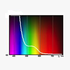 The Scale of Compression in the Horse's Stride