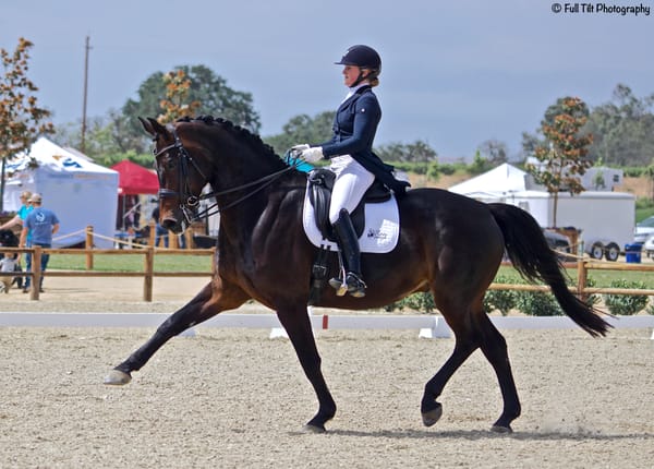 Leg Movers VS Back Movers   (Current Freebie!)