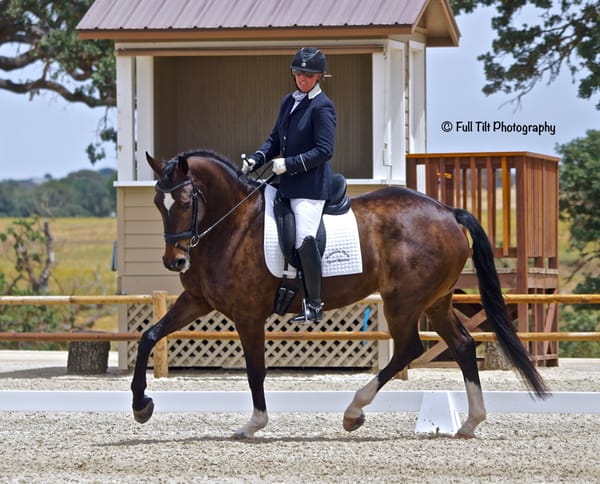 3 Signs That Your Bending Aids Are Working Correctly