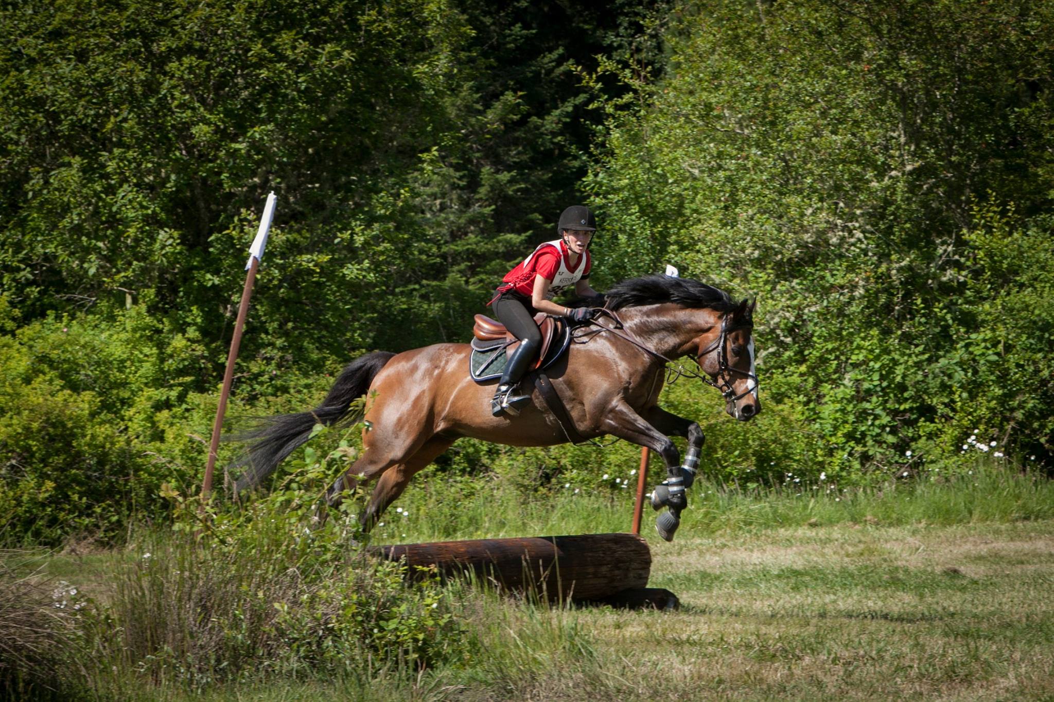 eventing-photo-63