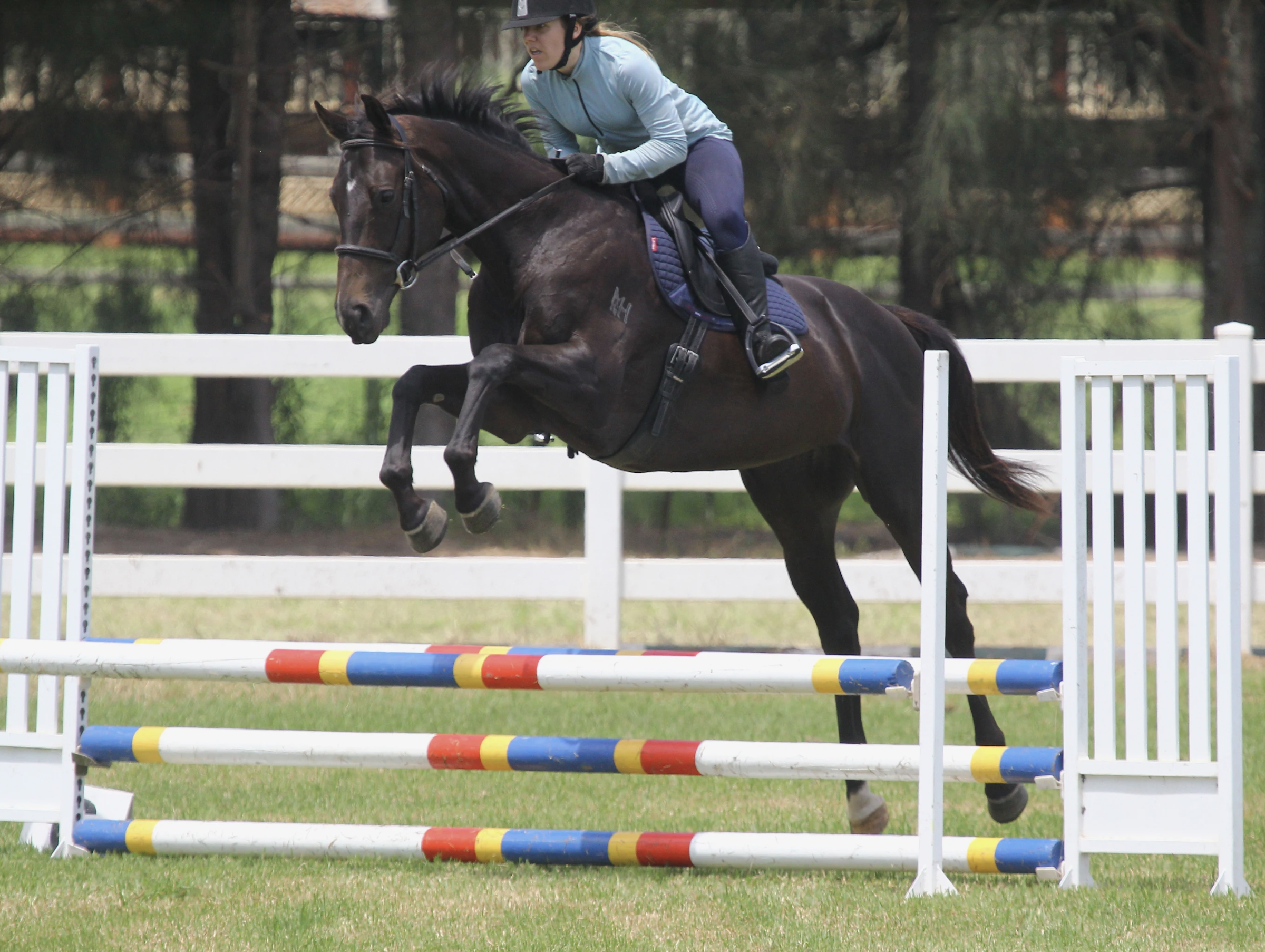 eventing-photo-81