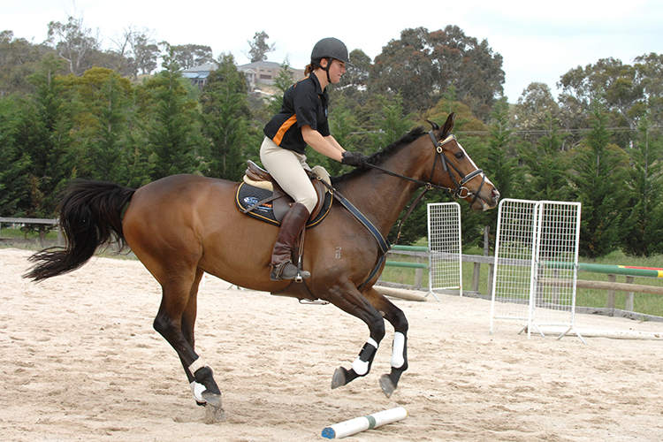 Canter pole on ground