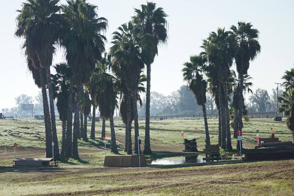 Cross Country Course | Eventing