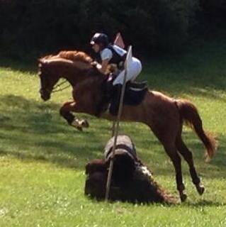 eventing-photo-59