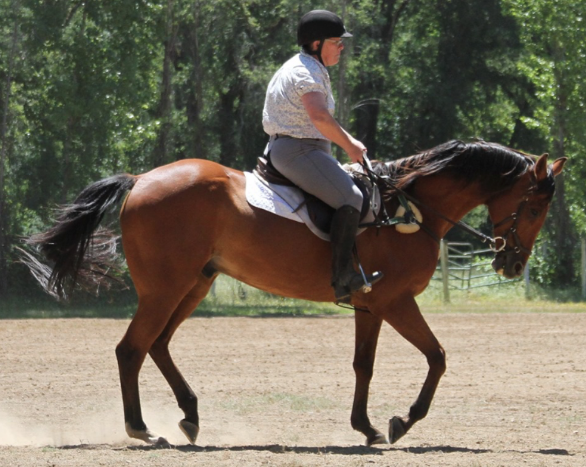 eventing-photo-80-question-347-how-to-get-more-hind-leg-engagement