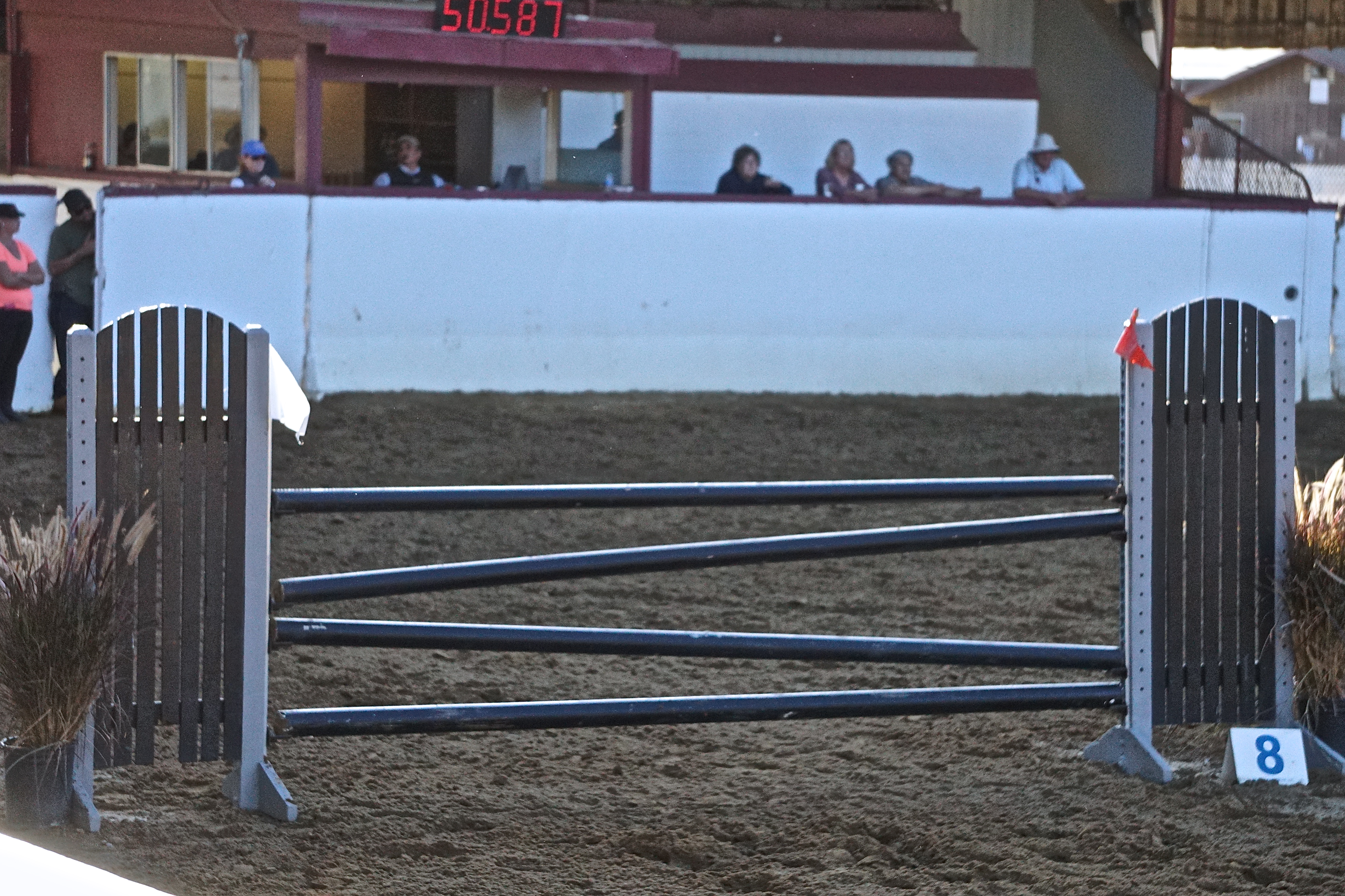 brown show jumping jump