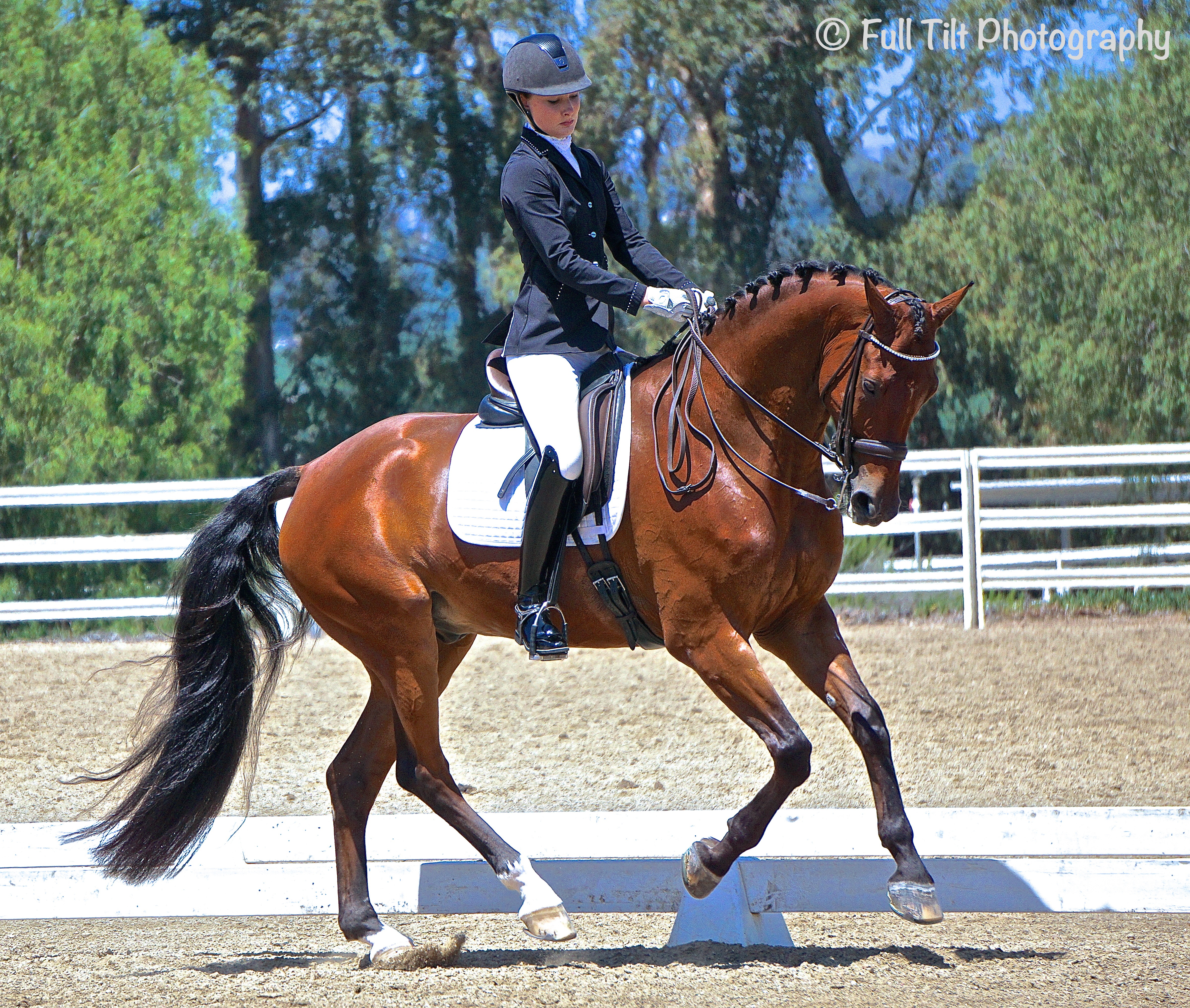 Dressage canter