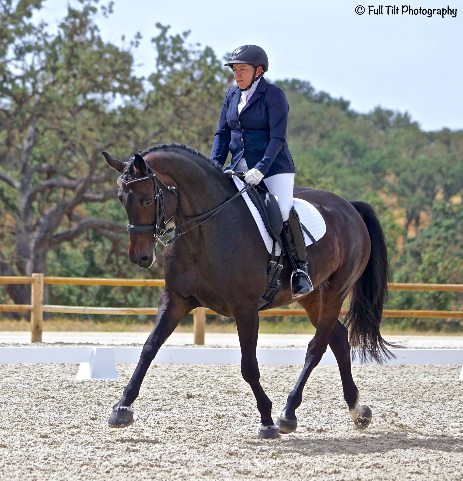 Dressage trot