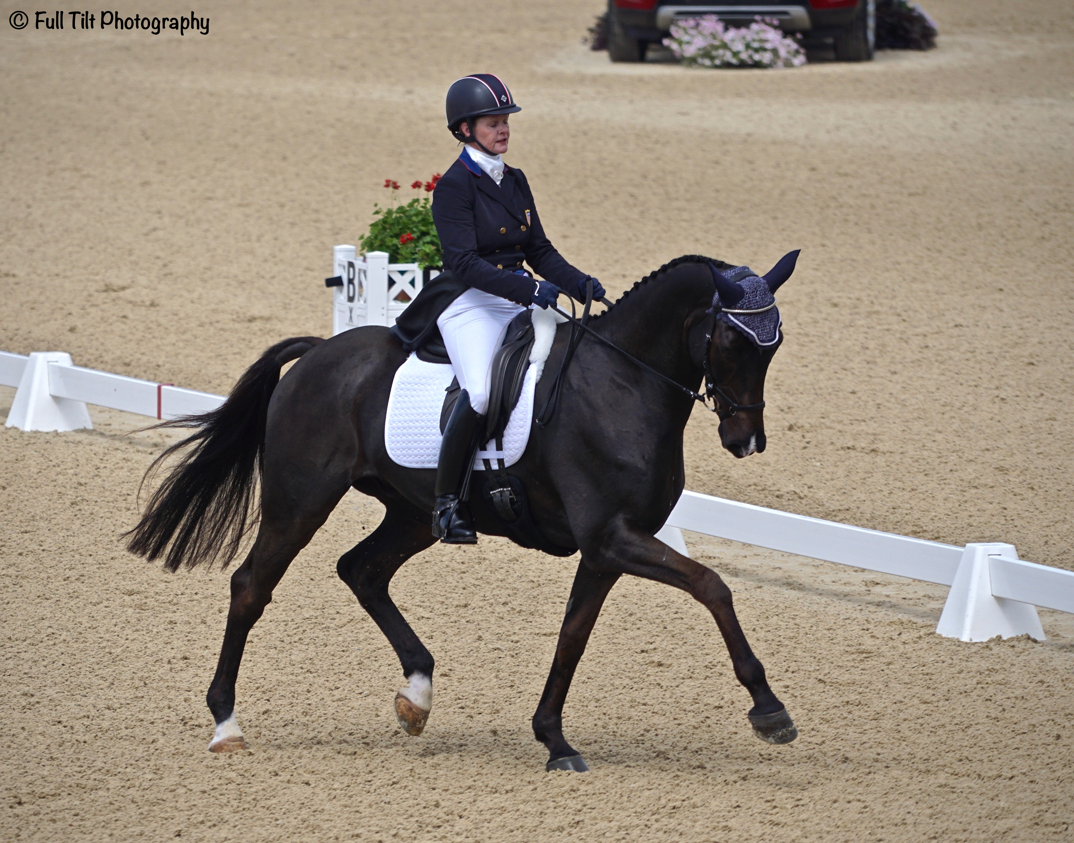 Dressage trot