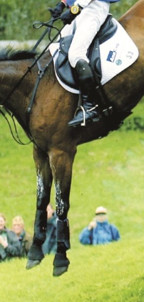 Rider's leg on drop fence