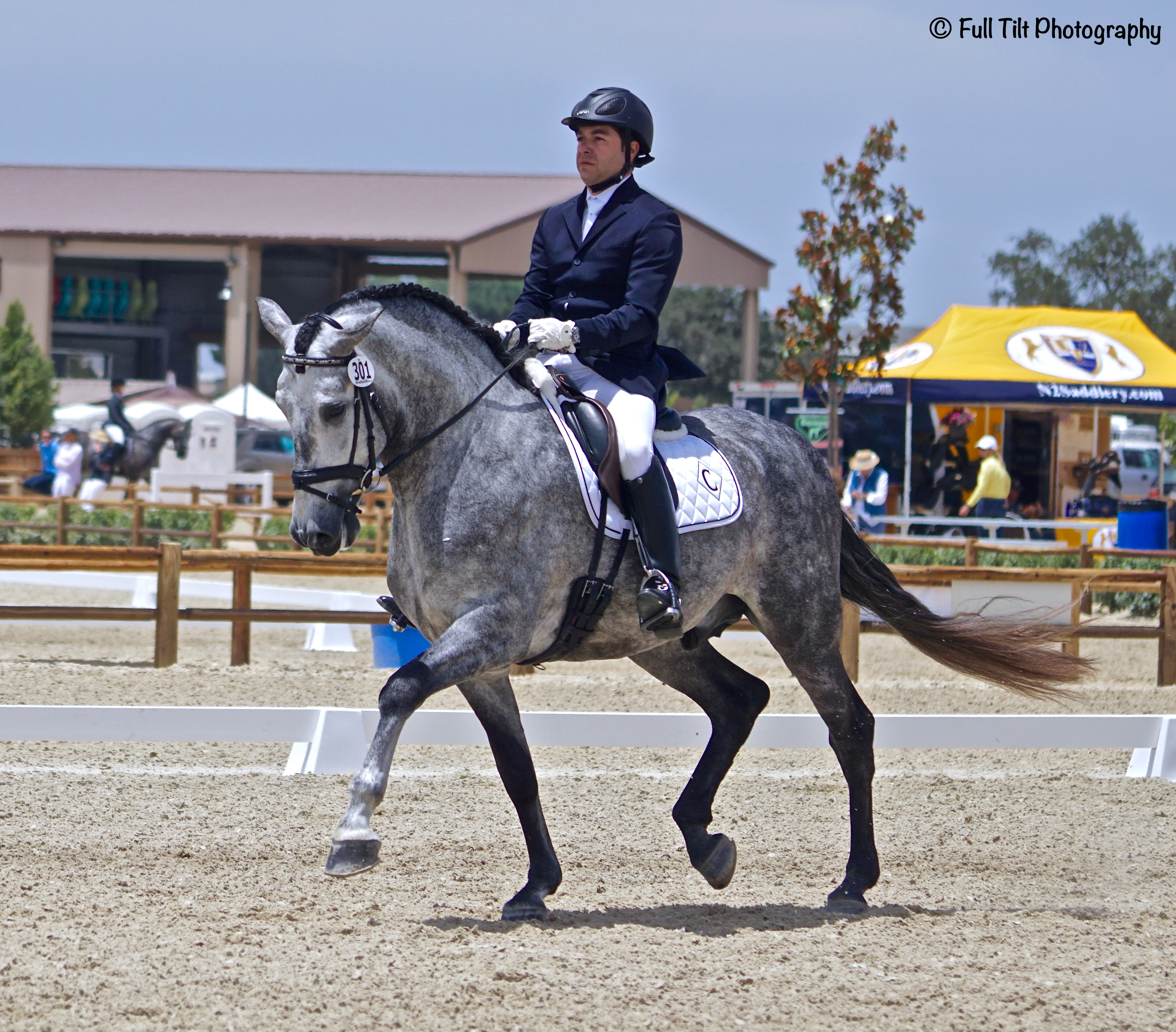 Horse in extended trot | Eventing
