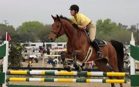 flat jumper flat jumper