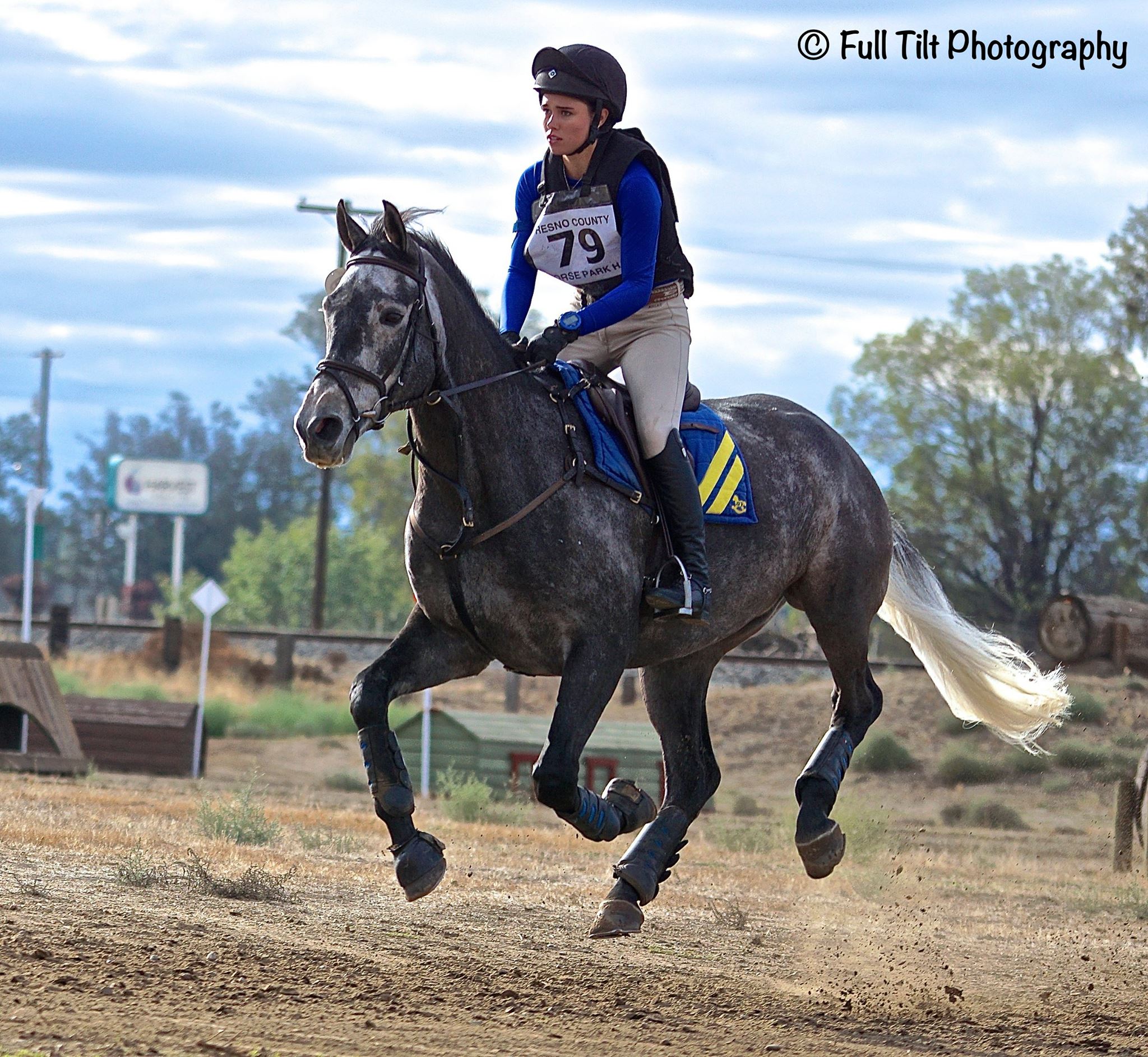 how-train-self-carriage-gallop