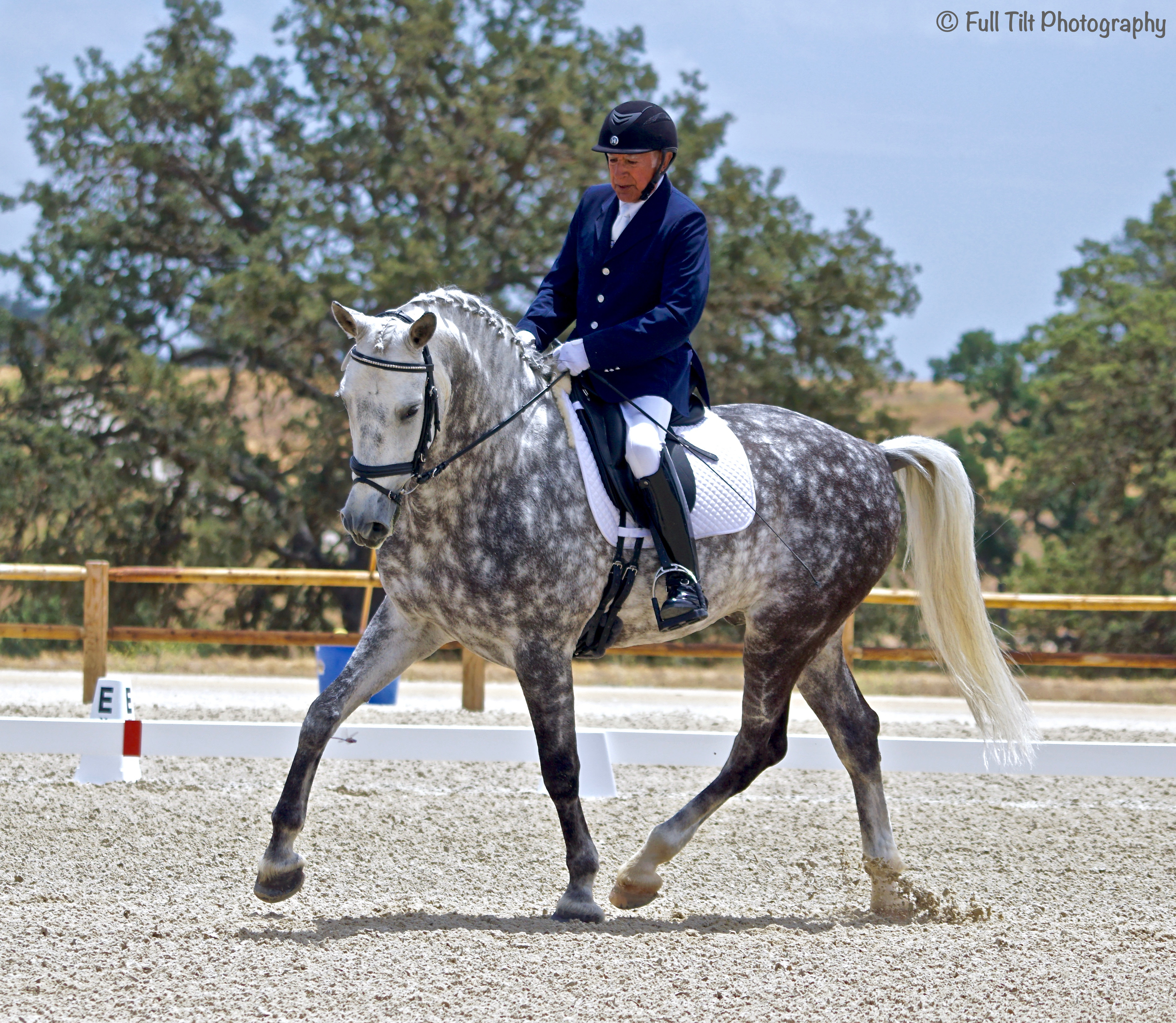 Dressage trot | Eventing