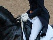 dressage hands